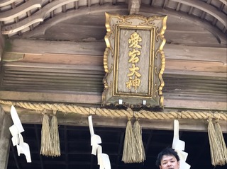 IMG_1978.JPG